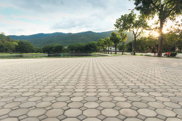 Permeable Paver Driveway in Minneola, FL