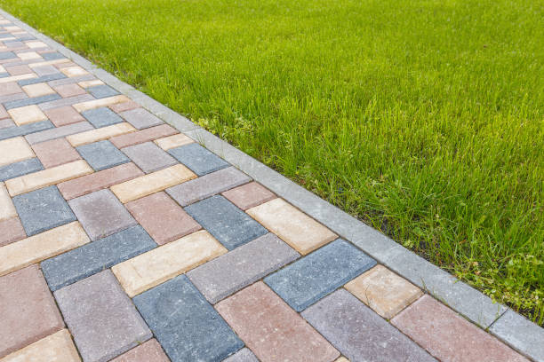 Best Driveway Paving Contractor  in Minneola, FL